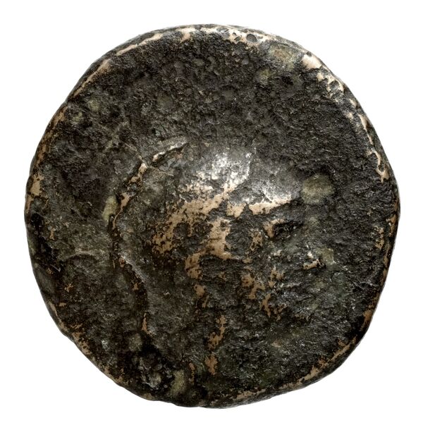 obverse Seleucid Coins (part 2) 2378.2