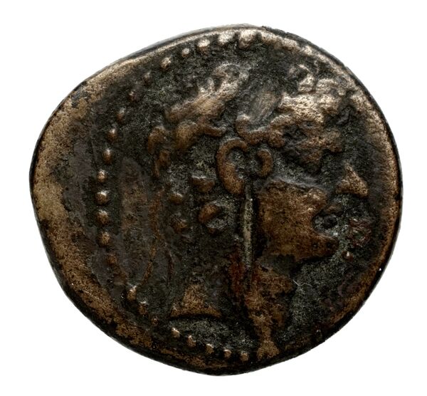 аверс Seleucid Coins (part 2) 2425.1