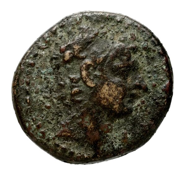 Seleucid Coins (part 2) 2425, аверс, bnf-hrc