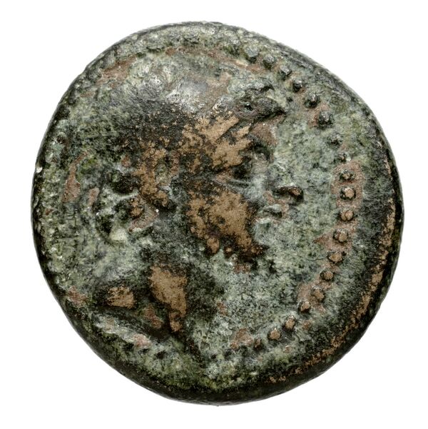 аверс Seleucid Coins (part 2) 2424