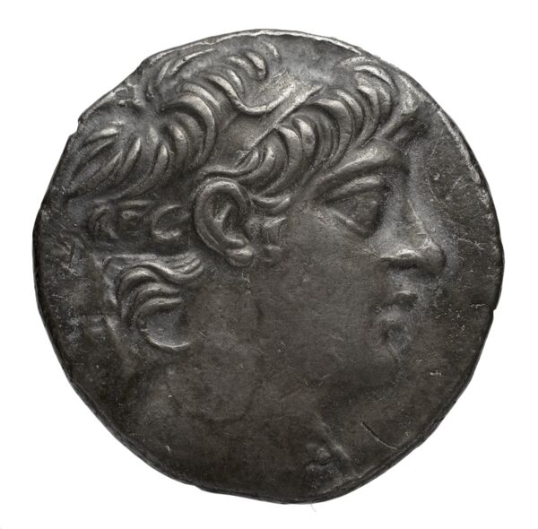 аверс Seleucid Coins (part 2) 2429.1c