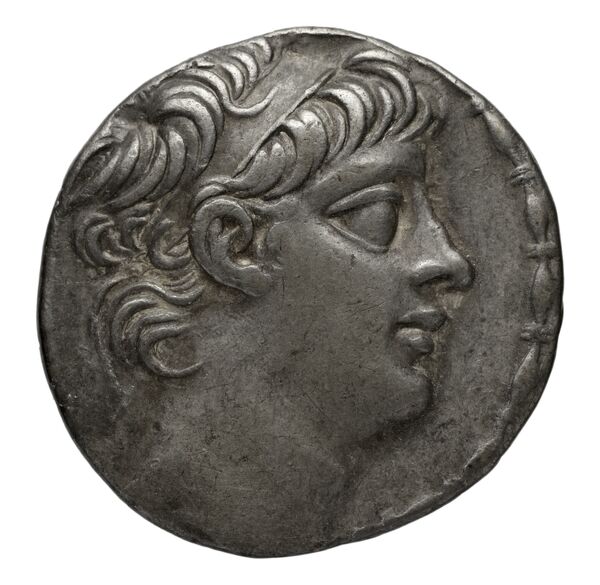 Seleucid Coins (part 2) 2429.1c, аверс, bnf-hrc