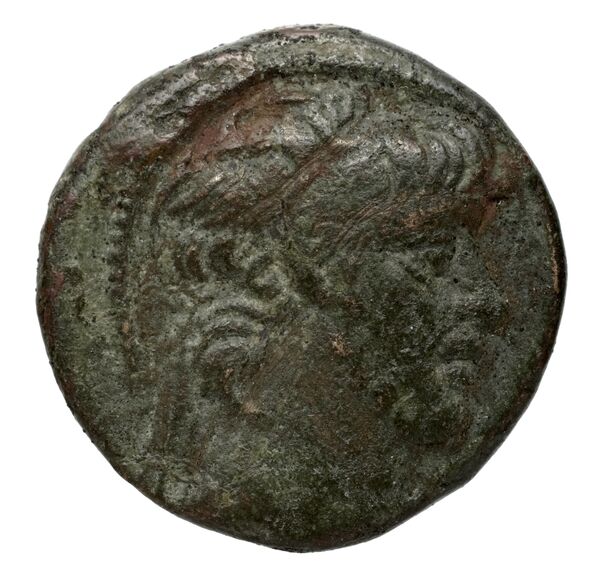 Seleucid Coins (part 2) 2432.1a, аверс, bnf-hrc