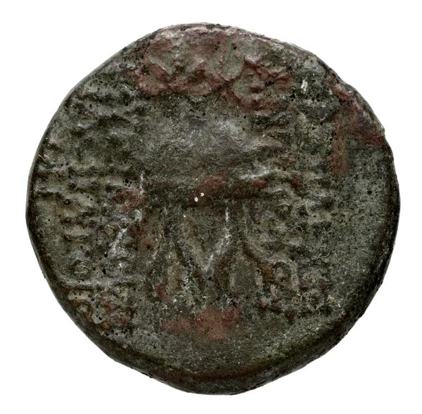 Seleucid Coins (part 2) 2432.1a, реверс, bnf-hrc