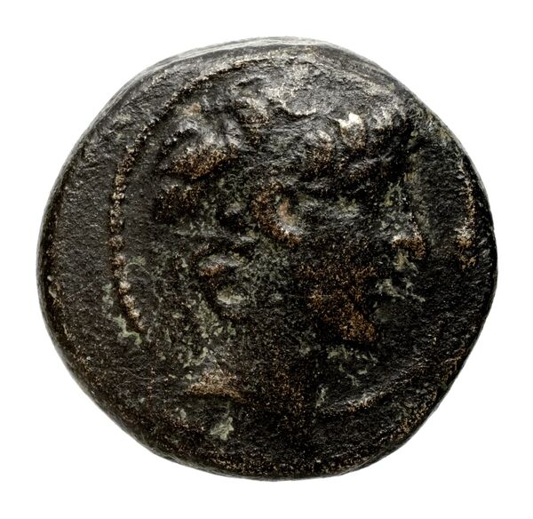 аверс Seleucid Coins (part 2) 2433