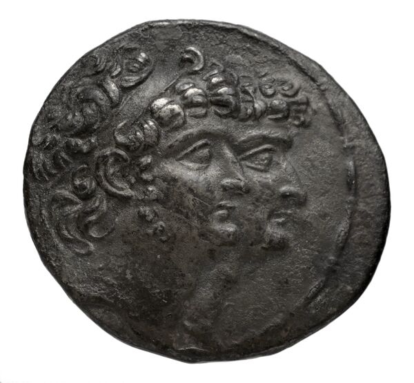 аверс Seleucid Coins (part 2) 2435.2
