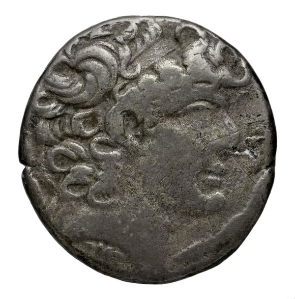 аверс Seleucid Coins (part 2) 2491.10