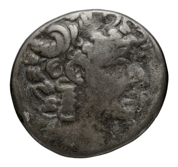 аверс Seleucid Coins (part 2) 2491.14
