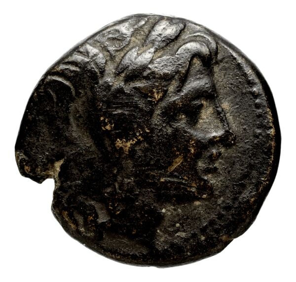 Seleucid Coins (part 1) 347, аверс, bnf-hrc