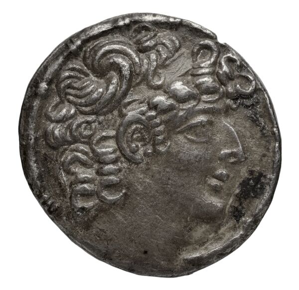 аверс Seleucid Coins (part 2) 2491.2
