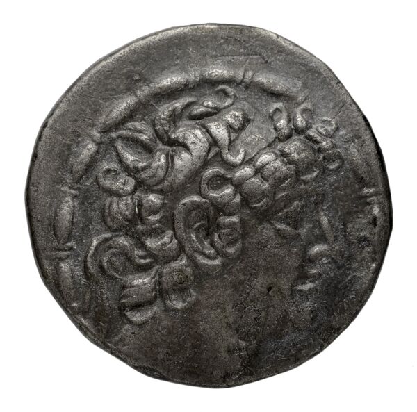 аверс Seleucid Coins (part 2) 2461.3