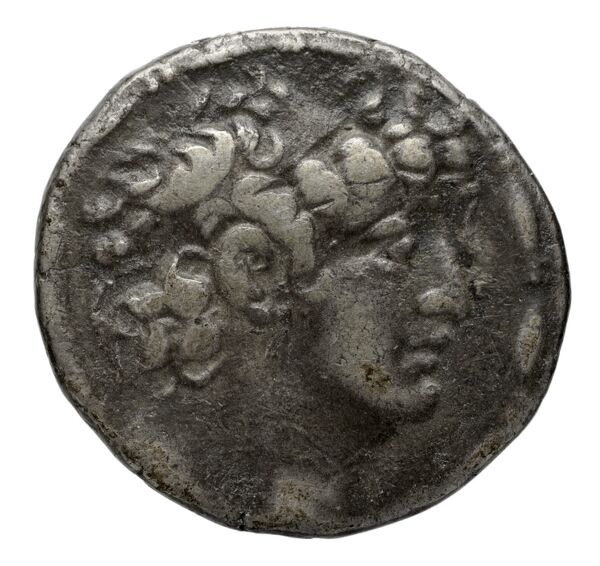 Seleucid Coins (part 2) 2463.2i, аверс, bnf-hrc