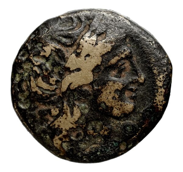 Seleucid Coins (part 1) 347, аверс, bnf-hrc