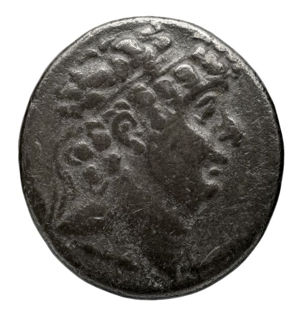 аверс Seleucid Coins (part 2) 2488.2