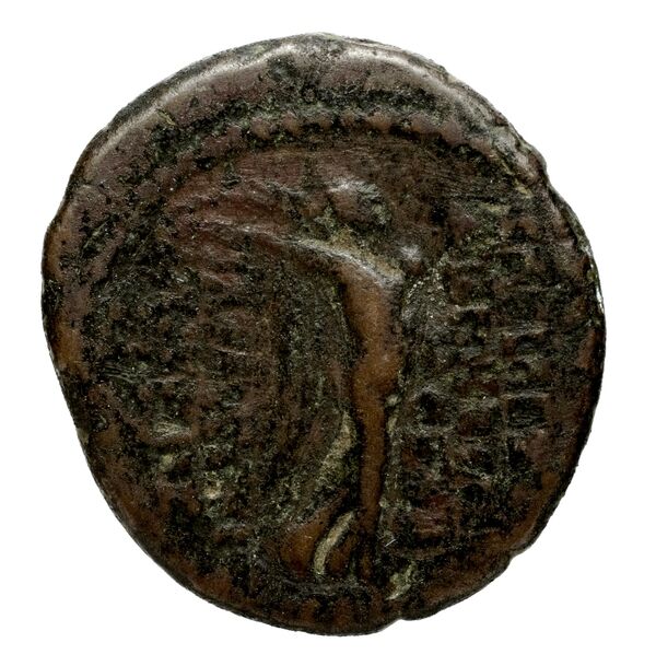 Seleucid Coins (part 2) 2454, реверс, bnf-hrc
