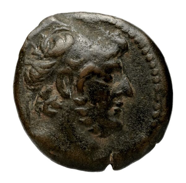 аверс Seleucid Coins (part 2) 2455.1