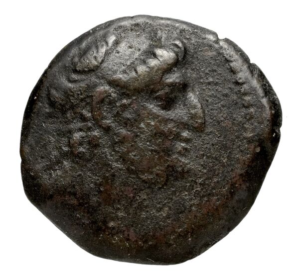 аверс Seleucid Coins (part 2) 2455