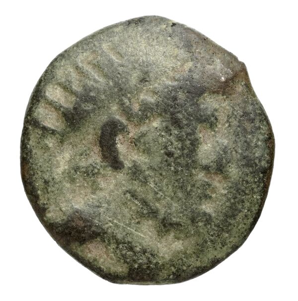 аверс Seleucid Coins (part 2) 2456.1