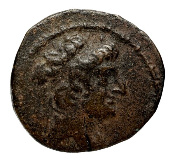 Seleucid Coins (part 2) 2481, аверс, bnf-hrc