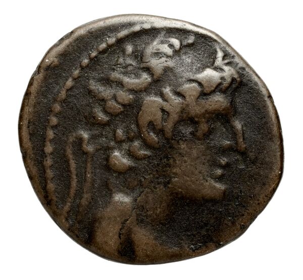 Seleucid Coins (part 2) 2476, аверс, bnf-hrc