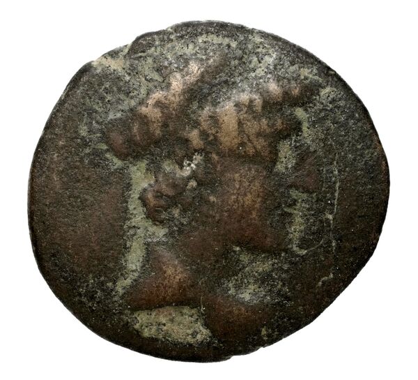 Seleucid Coins (part 2) 2473, аверс, bnf-hrc