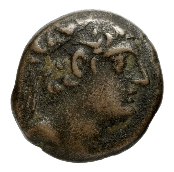 Seleucid Coins (part 2) 2477, аверс, bnf-hrc