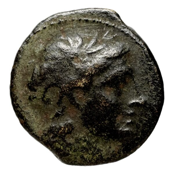 Seleucid Coins (part 1) 572a, аверс, bnf-hrc