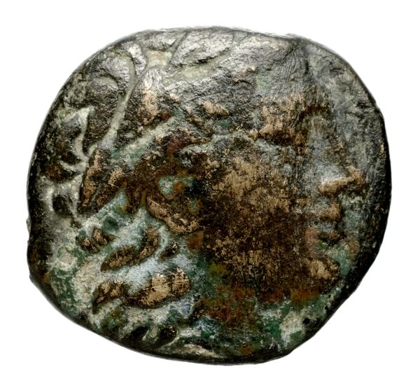 obverse Seleucid Coins (part 1) 572