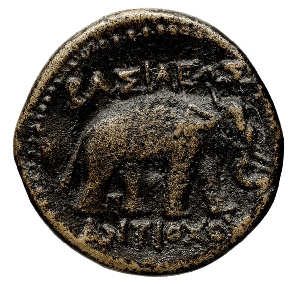 реверс Seleucid Coins (part 1) 339.3a