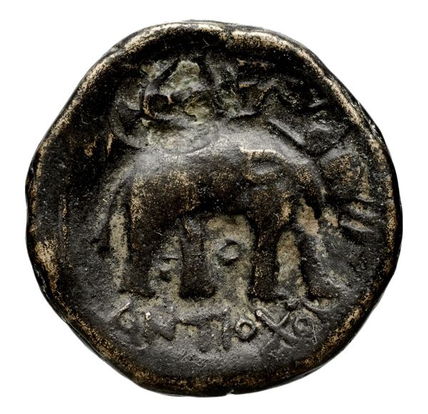 реверс Seleucid Coins (part 1) 339.3b