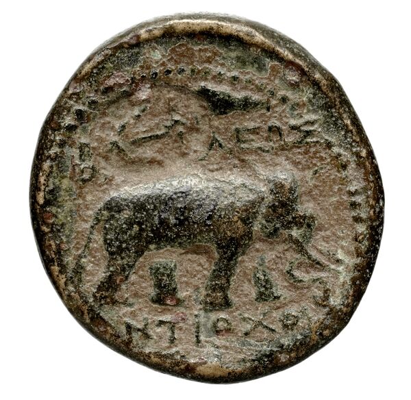 Seleucid Coins (part 1) 339.4, реверс, bnf-hrc