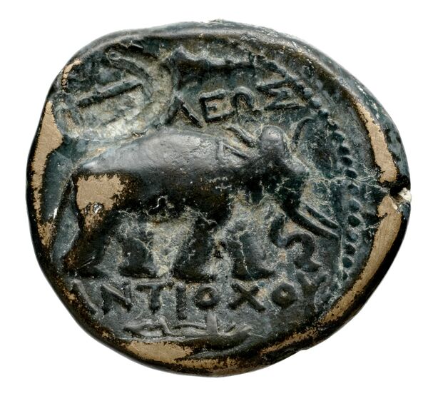 Seleucid Coins (part 1) 339.4, реверс, bnf-hrc