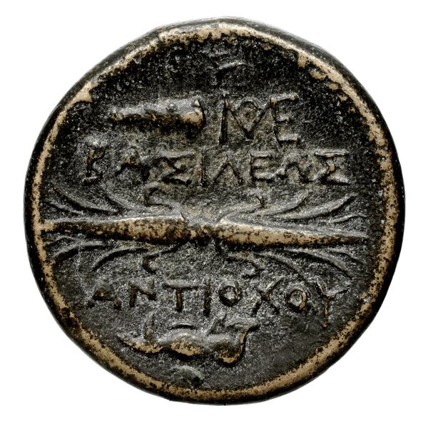 реверс Seleucid Coins (part 1) 343