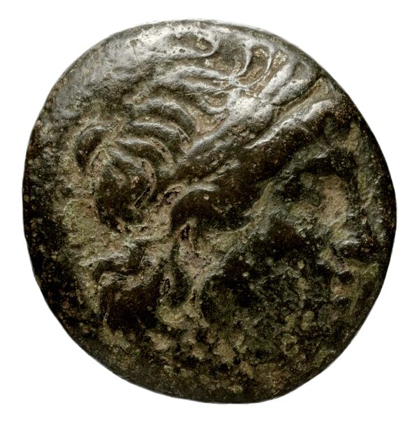 Seleucid Coins (part 1) 343, аверс, bnf-hrc