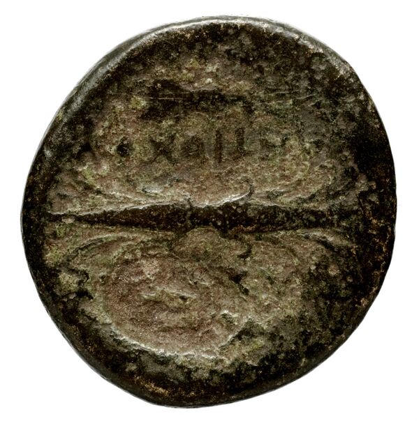 Seleucid Coins (part 1) 343, реверс, bnf-hrc
