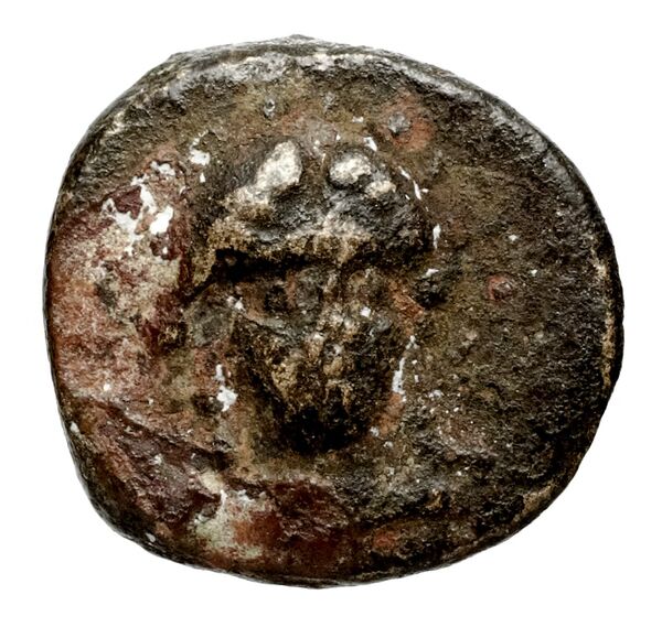 Seleucid Coins (part 1) 597, аверс, bnf-hrc