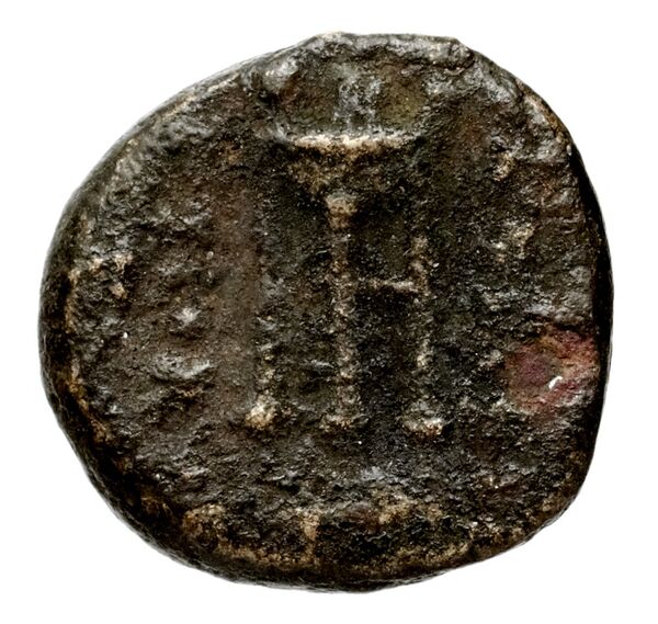 Seleucid Coins (part 1) 597, реверс, bnf-hrc