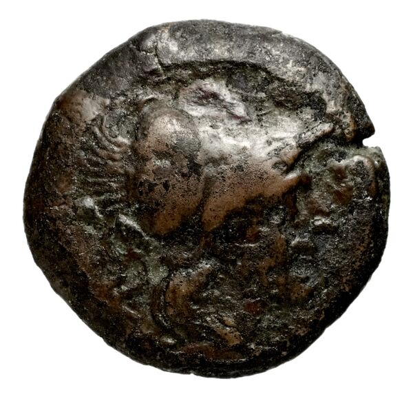 аверс Seleucid Coins (part 1) 393