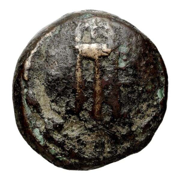 аверс Seleucid Coins (part 1) 373