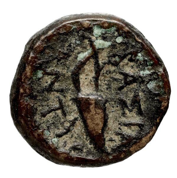 реверс Seleucid Coins (part 1) 373