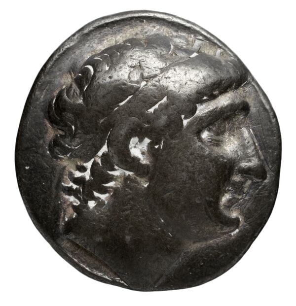 Seleucid Coins (part 1) 379.3, аверс, bnf-hrc
