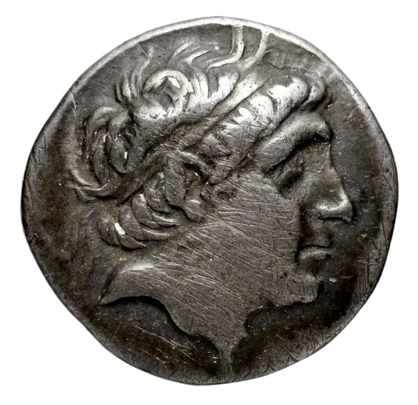 аверс Seleucid Coins (part 1) 328
