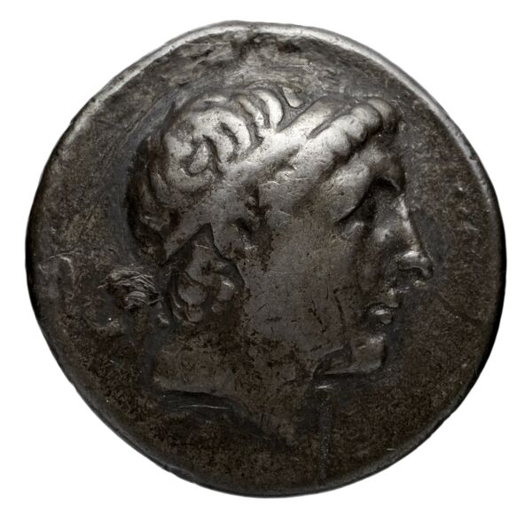 аверс Seleucid Coins (part 1) 511.1