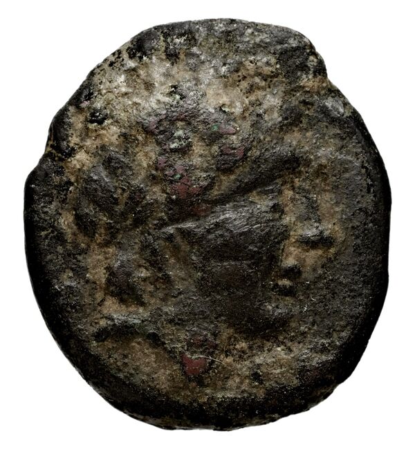 аверс Seleucid Coins (part 1) 971