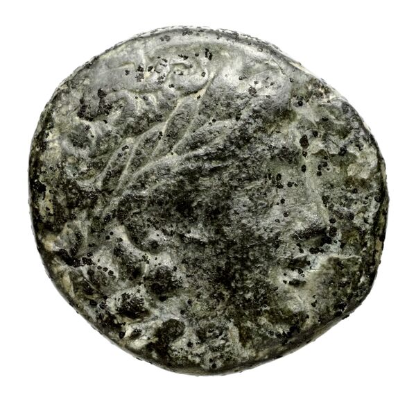 аверс Seleucid Coins (part 1) 520.2