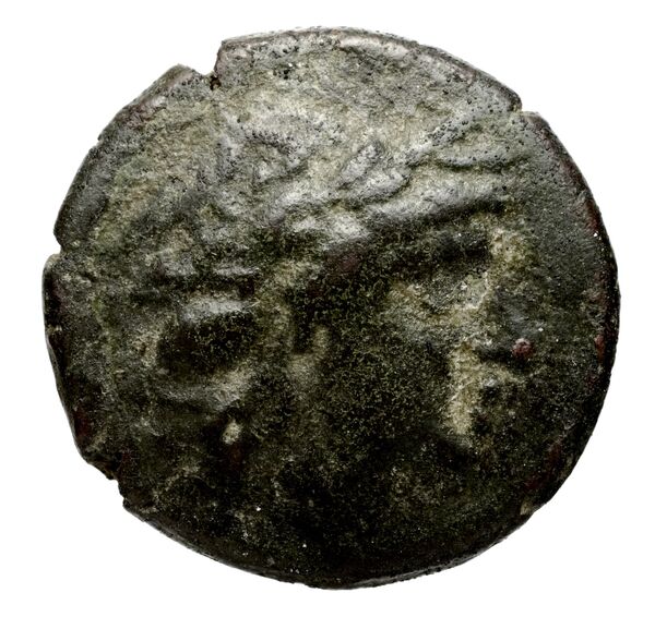 аверс Seleucid Coins (part 1) 527.2a