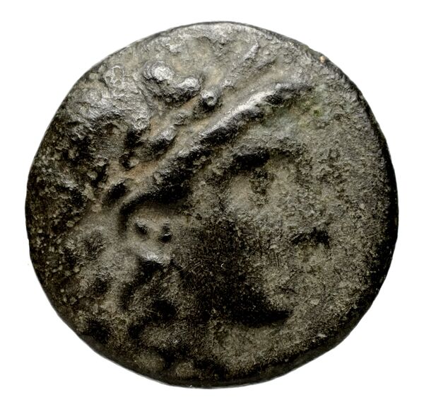 Seleucid Coins (part 1) 537b, аверс, bnf-hrc