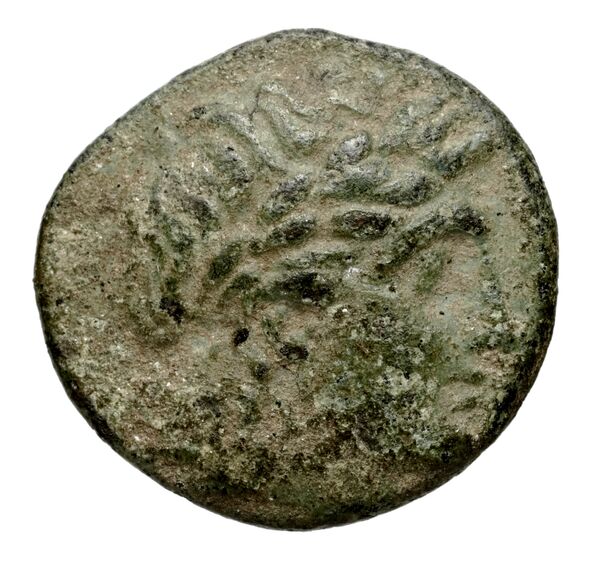 аверс Seleucid Coins (part 1) 522.2