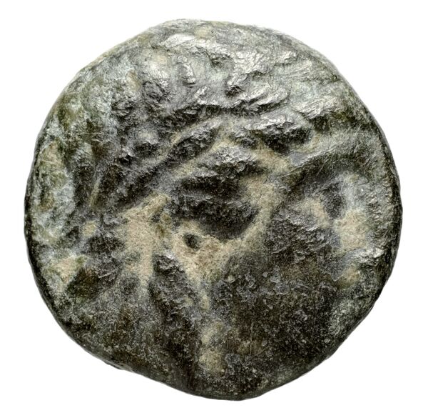 Seleucid Coins (part 1) 525.1, аверс, bnf-hrc