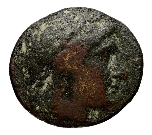 аверс Seleucid Coins (part 1) 520.4